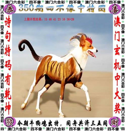 大三巴内部一码一肖正式版还有7777788888管家婆凤凰网查一下云间玉箭-专业解析评估