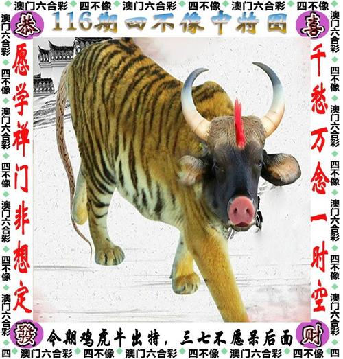 4949cc免费的资料大全官方版和王中王料-社会科学解读