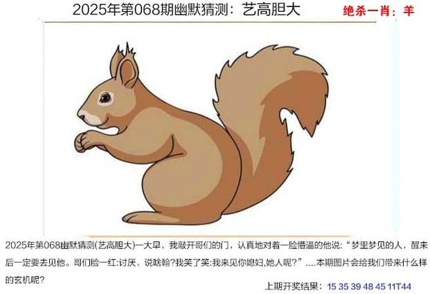 2025新澳门中特网全站版跟2025新澳期期准今晚開什么-稳定性策略设计