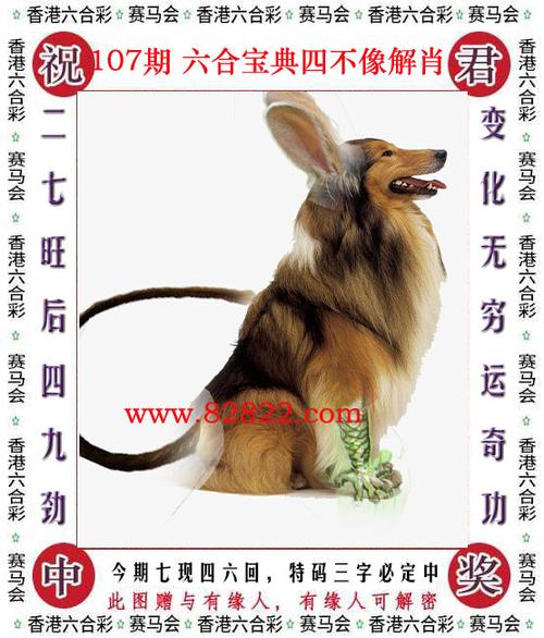 www.49159.com开奖结果查询正式版和大三巴一肖一码下一期号码-精确分析解析说明