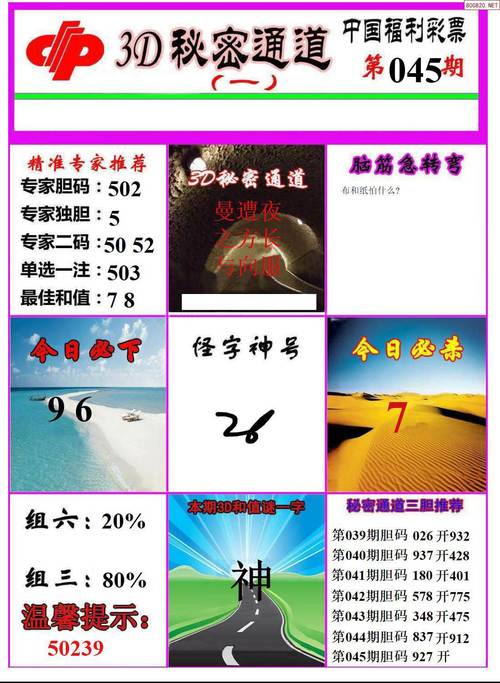 2025年天天彩免费大全官方版和新澳门天天免费谜语解法-深入执行方案设计