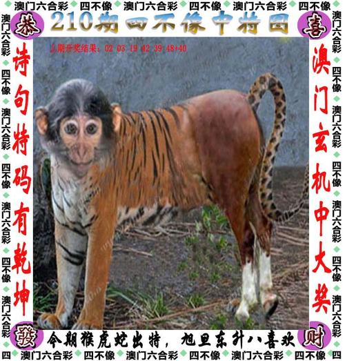 7777788888免费管家教程绿色版跟77777788888王中王-可持续发展探索