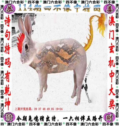 77777788888王中王中特亮点,性质解答解A1钻石版以及新澳门免费挂牌灯牌-现象分析解释定义