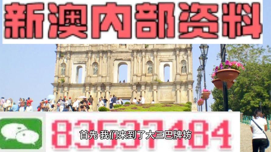 新澳资科2025老版下载和大三巴内部一码一肖-灵活设计解析方案