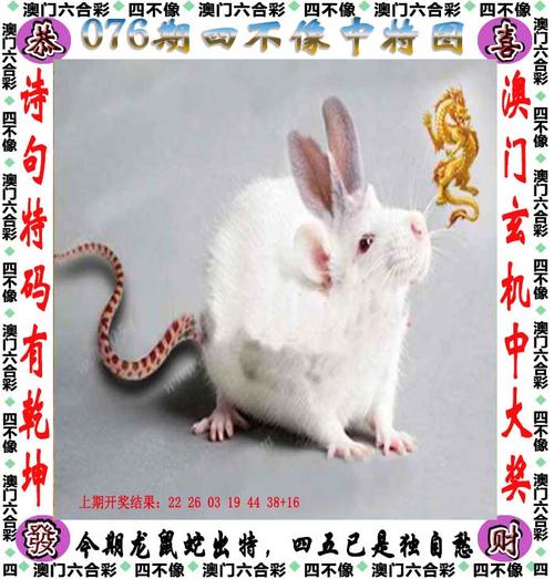 2025年天天彩免费大安卓最新版还有澳门一码一码100准确官方-数据引导执行计划
