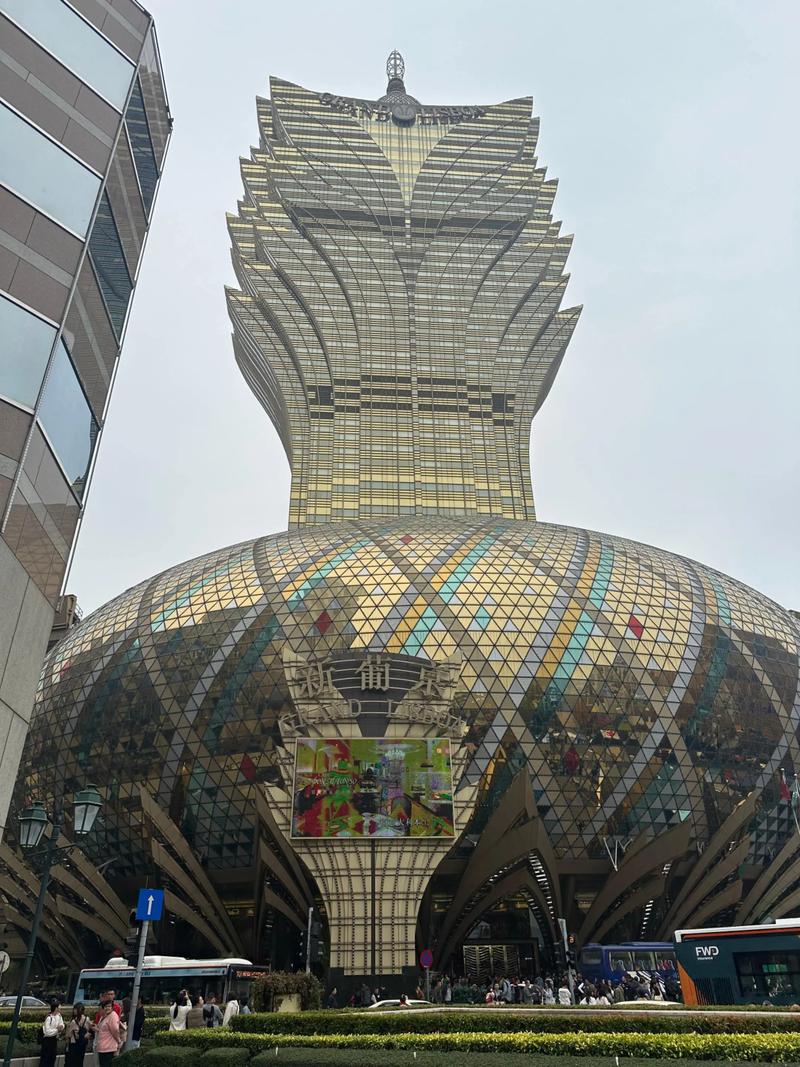 2025今天晚上澳门出什么号官方版与新澳门2025正版免费观看-精细设计解析策略