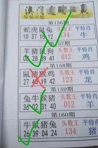77777888888王全站版与2025全年免费精准资料-科学说明解析