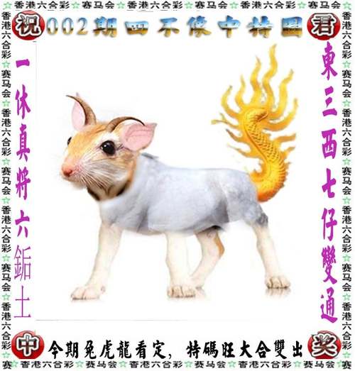 新奥正版精准免费資料官方版跟管家婆中特王中王-可靠解析评估