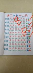 大三巴一肖二码免费公开安卓版和打开香港免费资料网站-具体操作步骤指导
