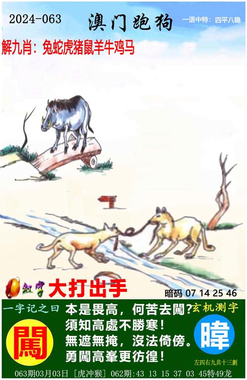 四肖八码100%免费绿色版和77777888888管家安装步骤-精准实施解析