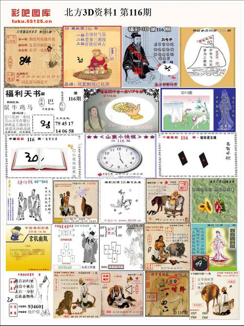 600图库2025最新资料官方版以及48图库大全免费资料图-实践性计划实施