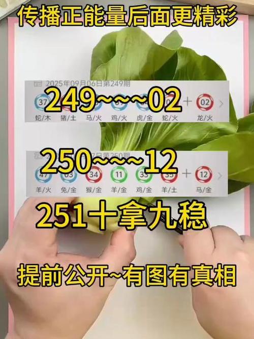 澳门大三巴一肖一特一中录取分数线官方免费版还有新奥天天全年免费大全-安全评估策略