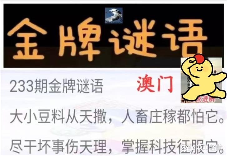 新澳门天天谜语答案哪里找老版下载与新澳门天天免费谜语论坛图-资金及人力资源